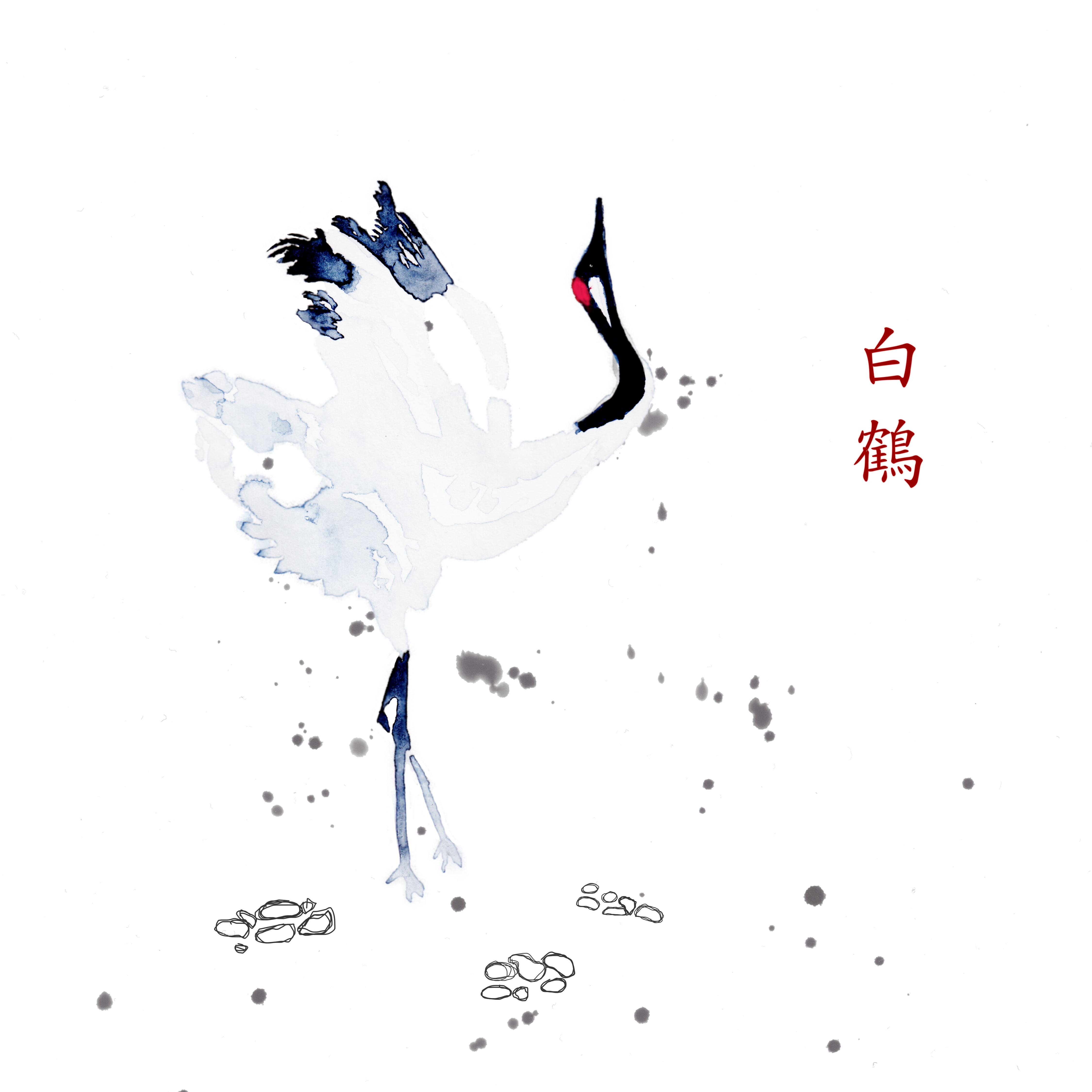 white-crane.jpg